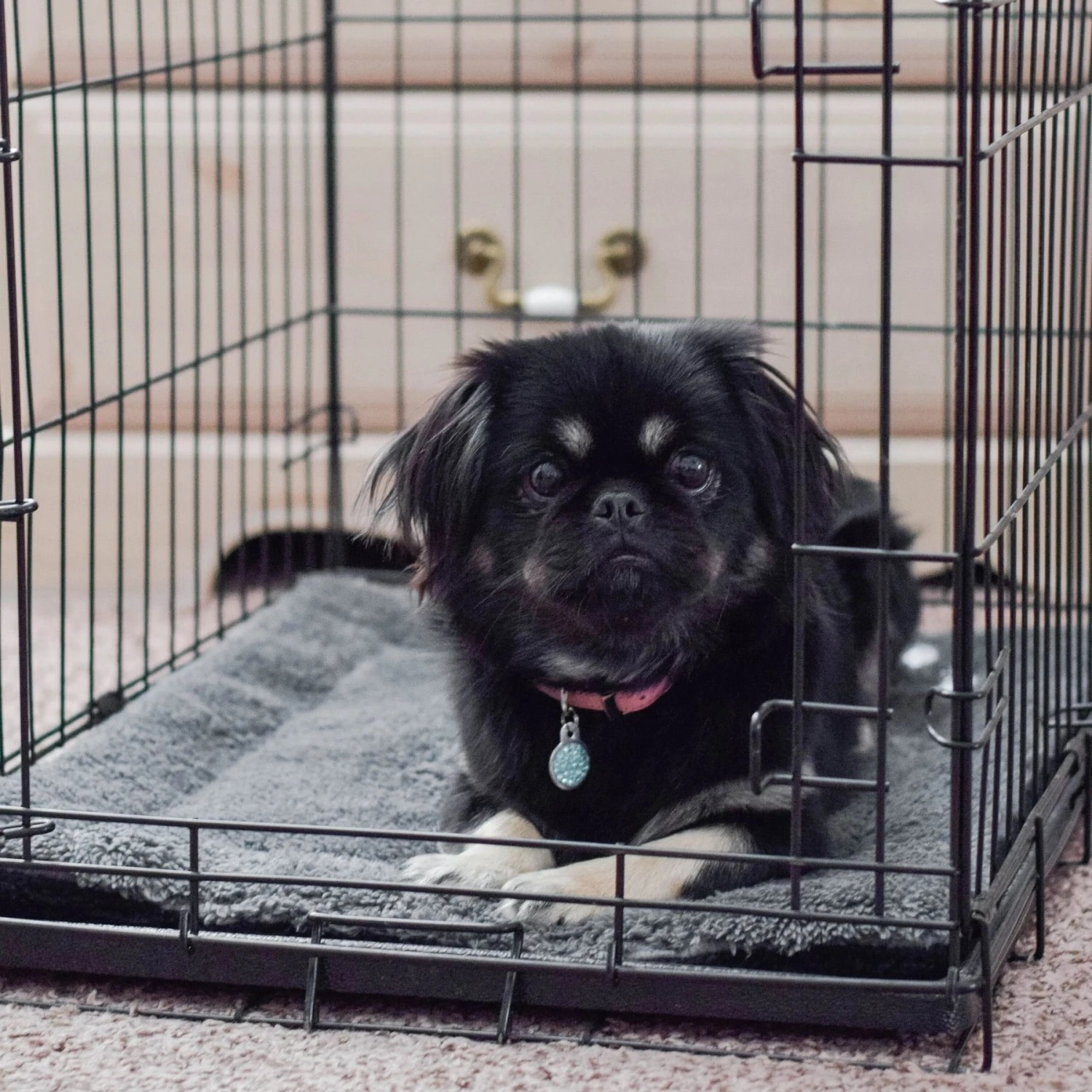 K&H Pet Products Self-Warming Pad - Image 7