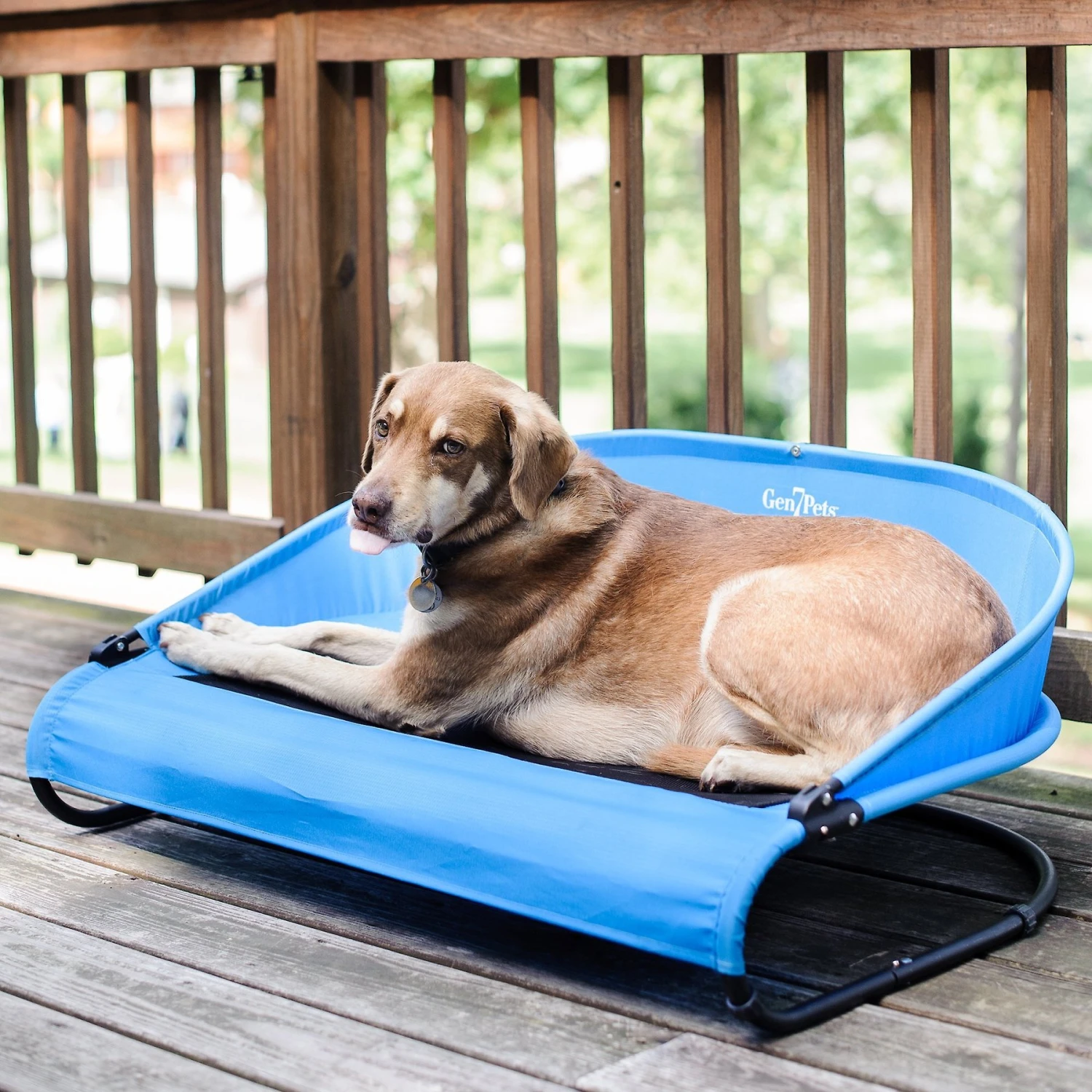 Gen7Pets Cool-Air Cot Elevated Dog Bed - Image 4