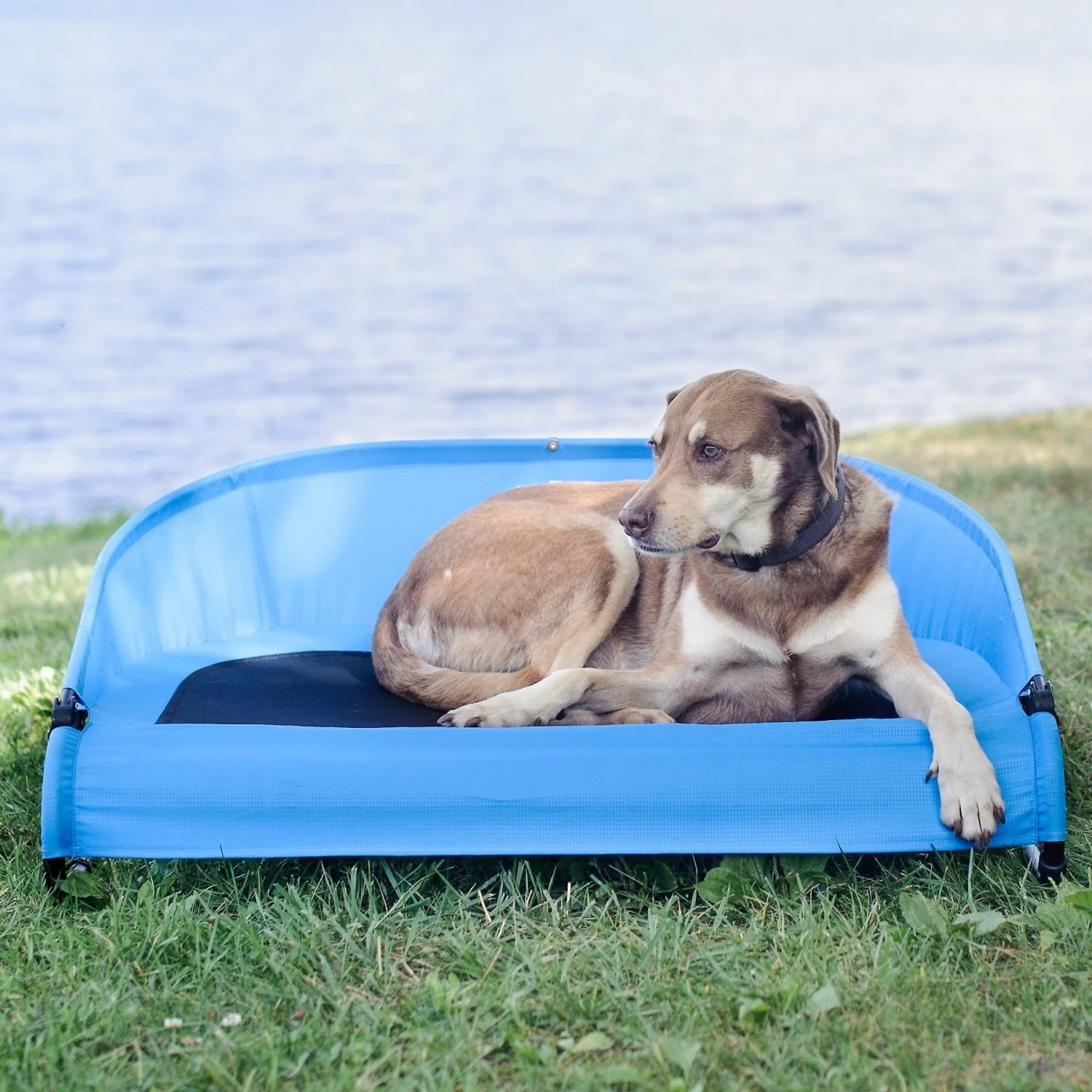 Gen7Pets Cool-Air Cot Elevated Dog Bed - Image 5