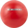 The Virtually Indestructible Ball Dog Toy, Color Varies