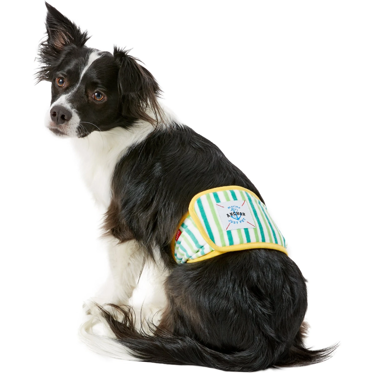 Alfie Pet Belly Band Washable Male Dog Wraps - Image 2
