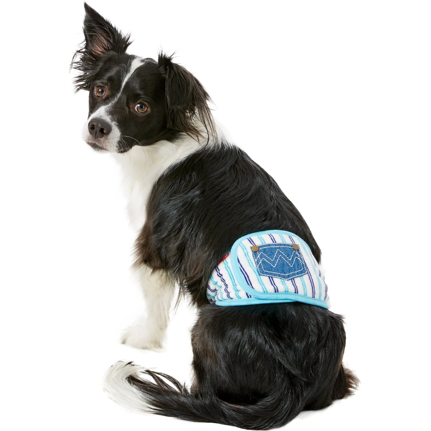 Alfie Pet Belly Band Washable Male Dog Wraps - Image 3