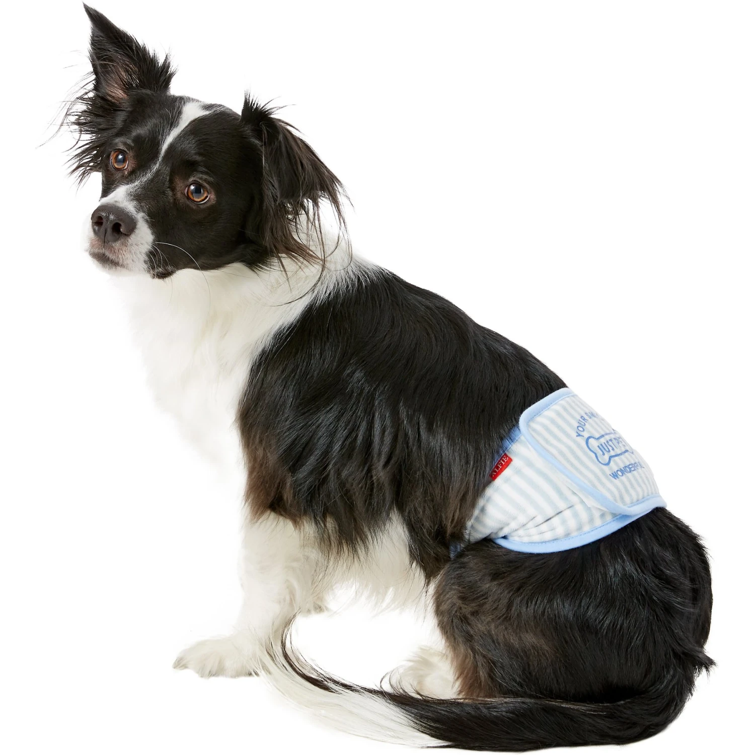 Alfie Pet Belly Band Washable Male Dog Wraps - Image 4
