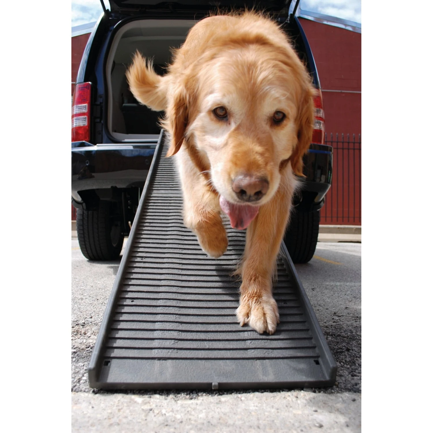 PetSTEP Folding Pet Ramp - Image 5