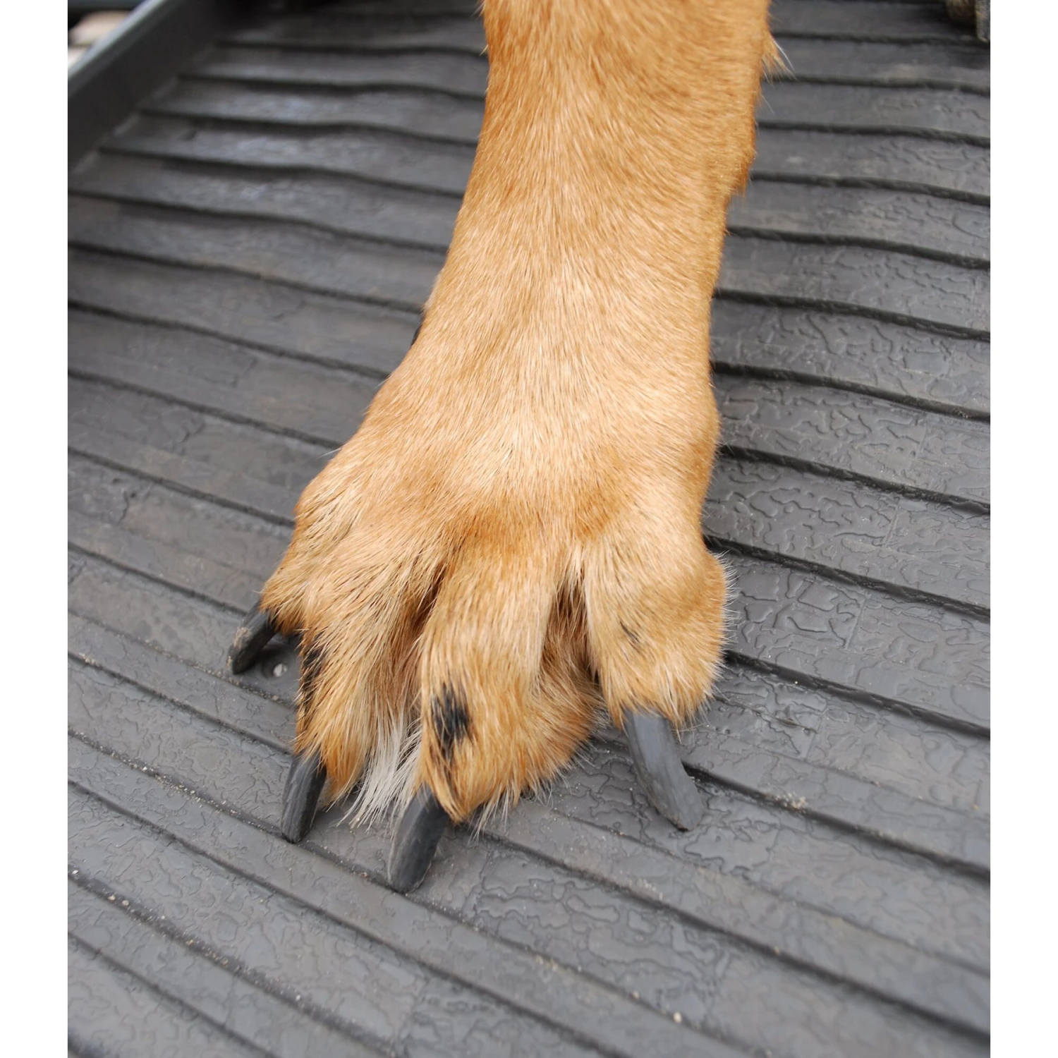 PetSTEP Folding Pet Ramp - Image 6