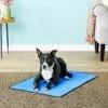 TechNiche International Evaporative Cooling Dog Pad
