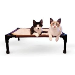 K&H Pet Products Comfy Pet Cot Elevated Pet Bed