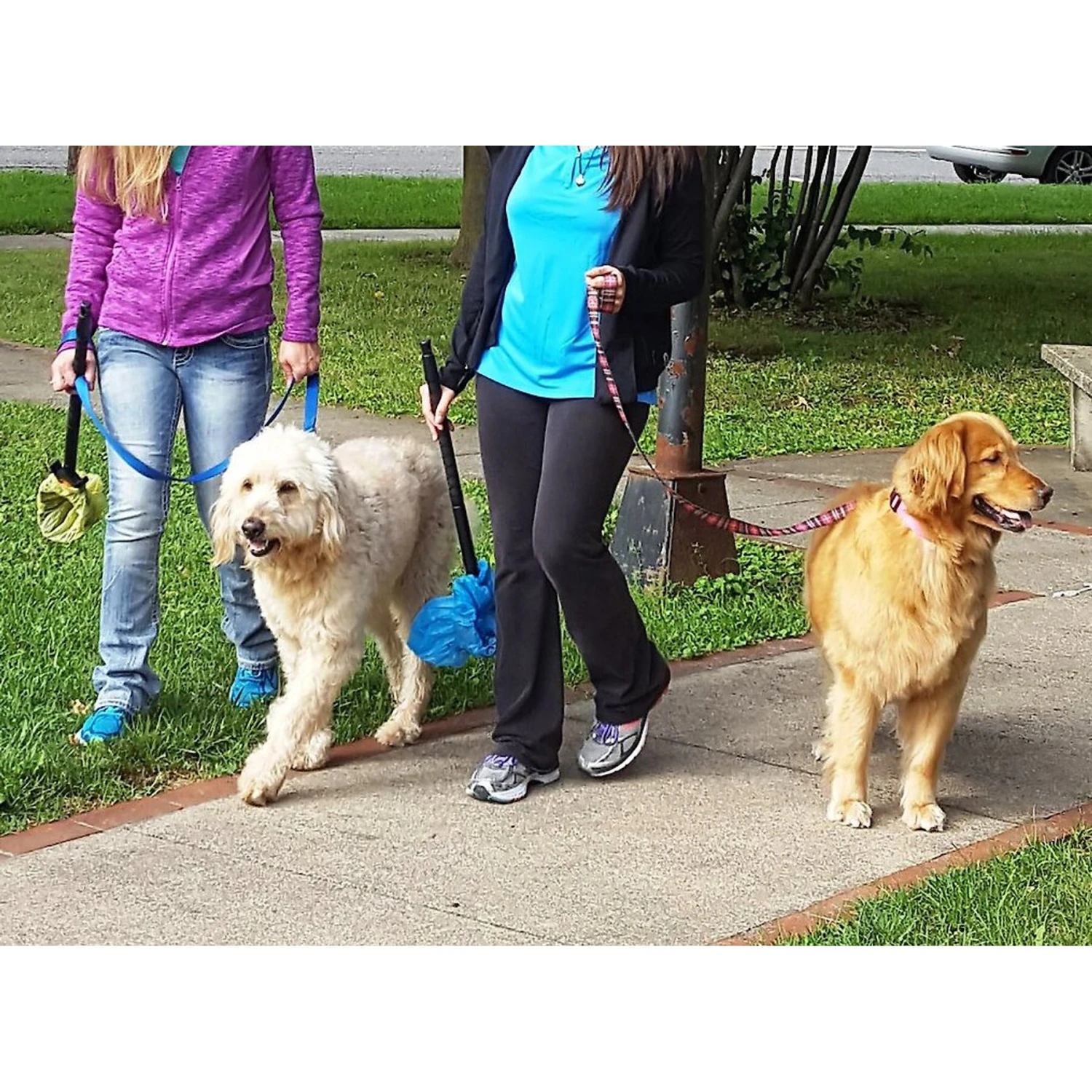 Pooch Approved Products GoGo Stik Pooper Scooper - Image 7