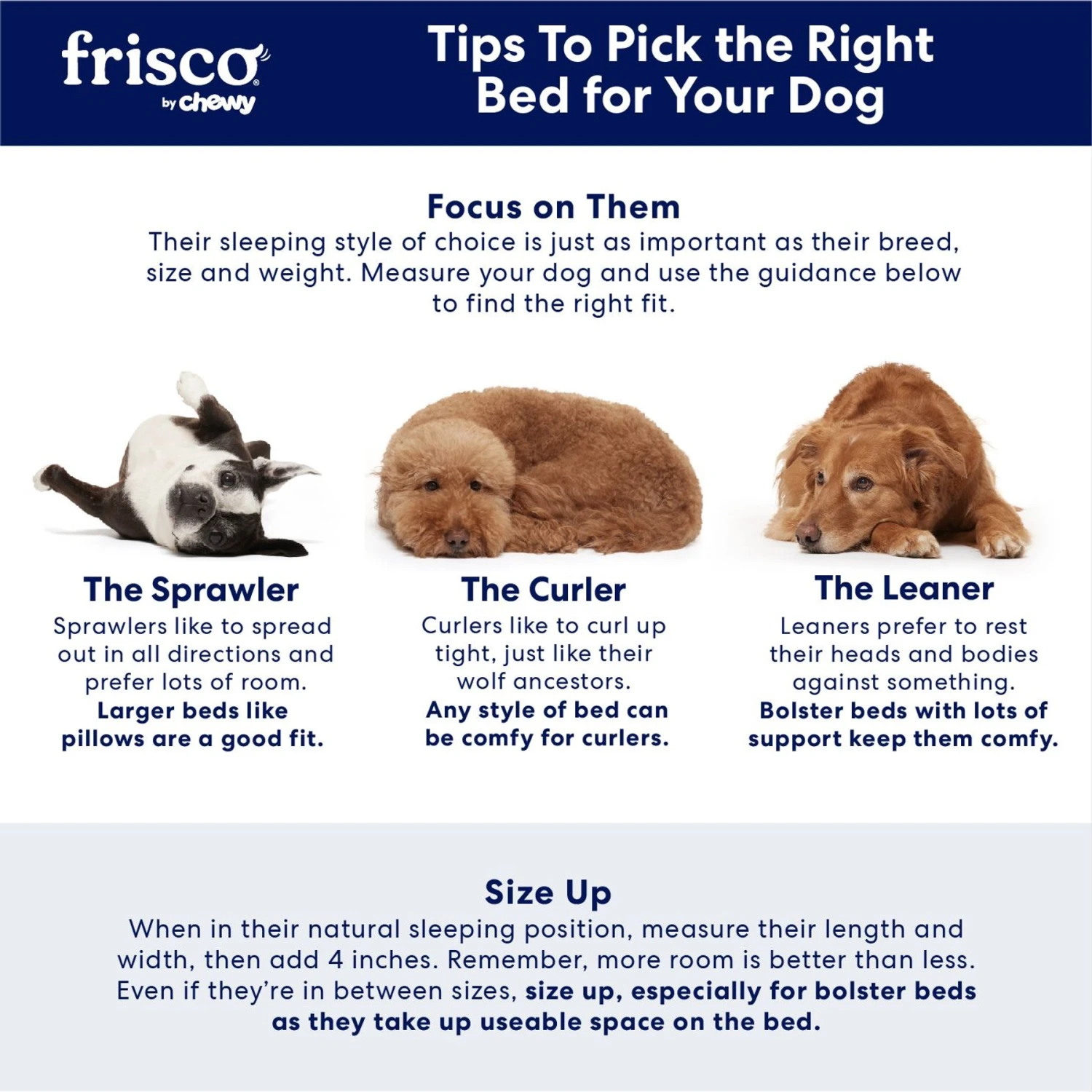 Frisco Plush Orthopedic Bolster Dog Bed W/Removable Cover - Image 5