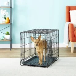 Paws & Pals Oxgord Double Door Collapsible Wire Dog Crate