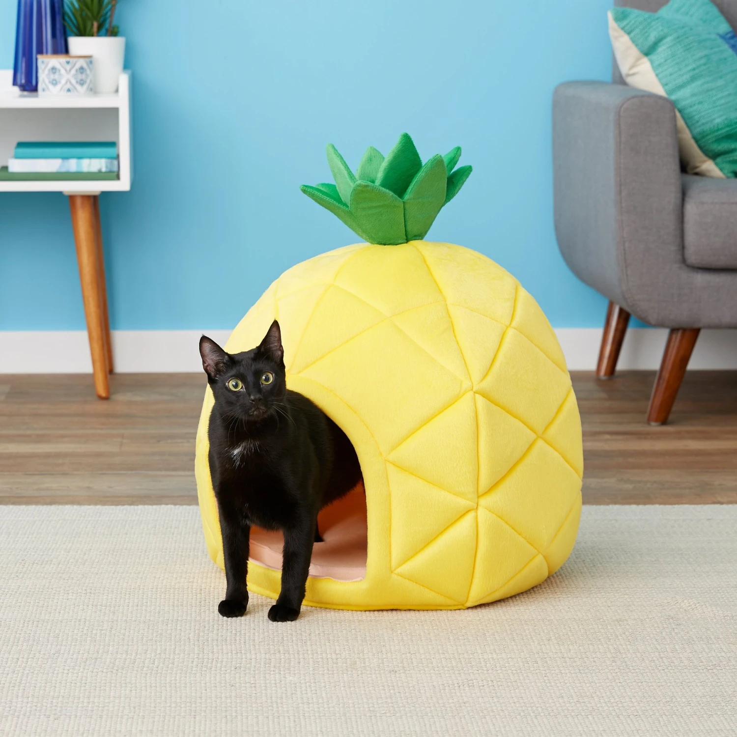 YML Pineapple Covered Cat & Dog Bed - Image 4