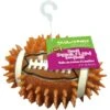 Gnawsome Squeak & Light LED Football Dog Toy, Color Varies