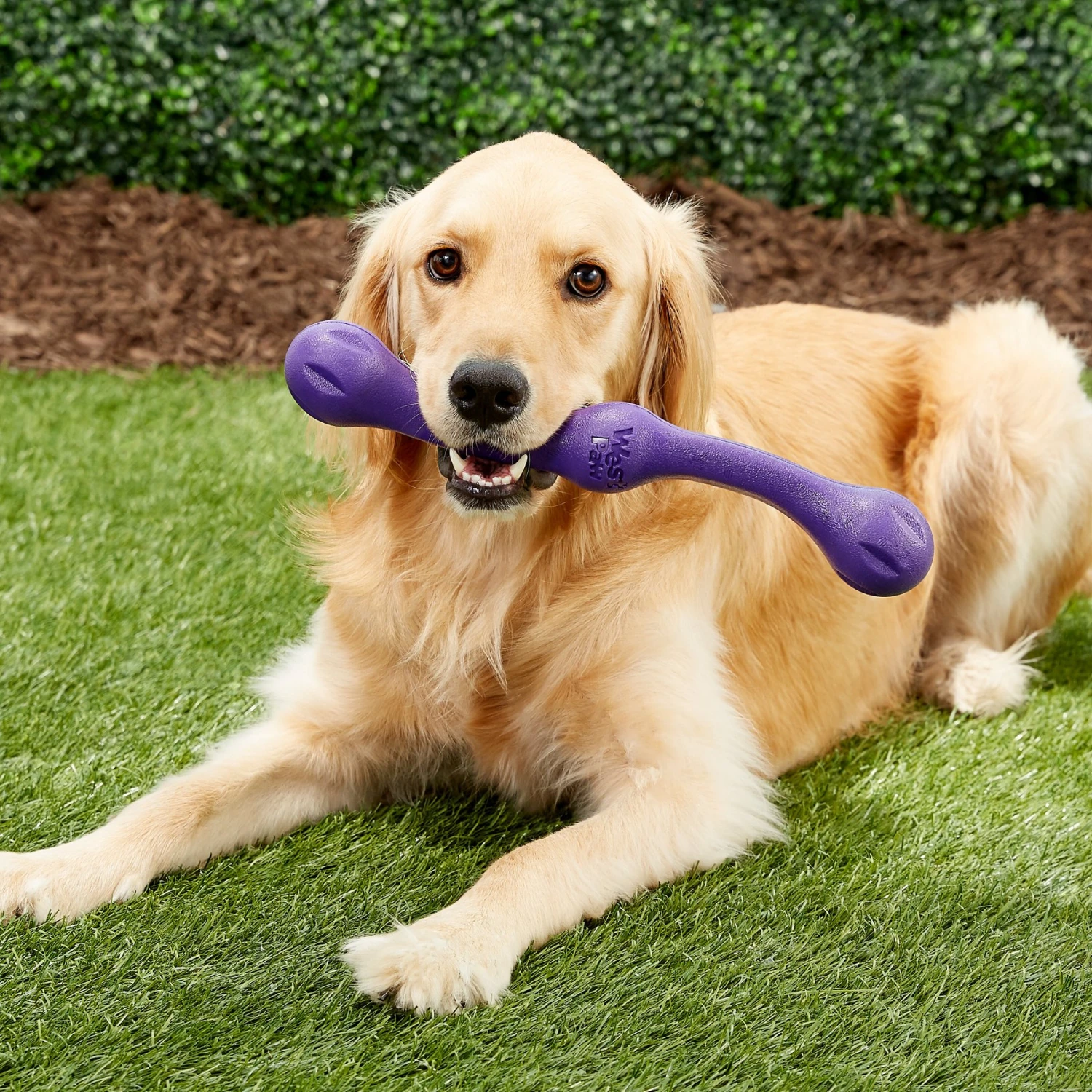 West Paw Echo Collection Zwig Dog Toy - Image 4