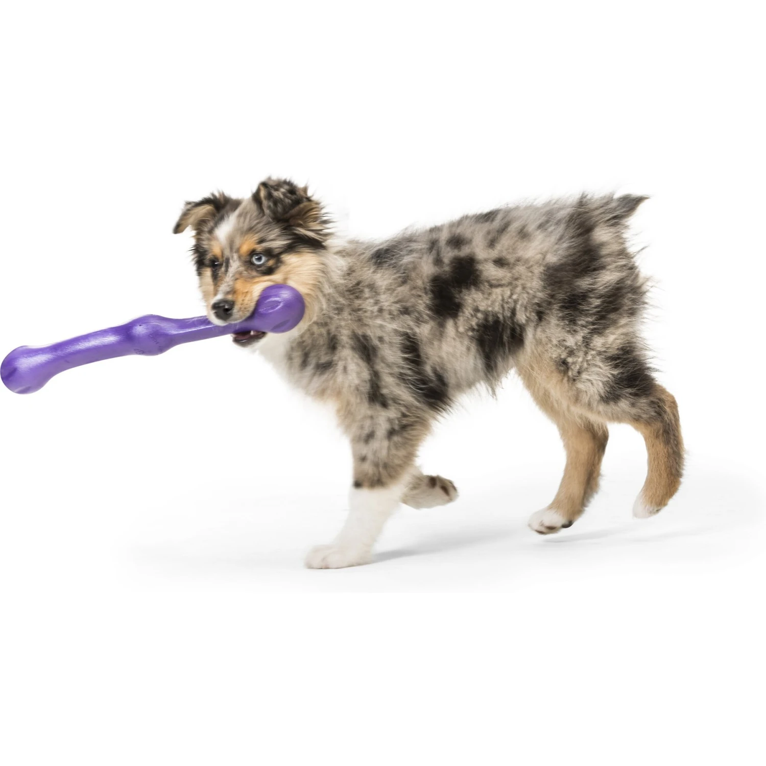 West Paw Echo Collection Zwig Dog Toy - Image 6