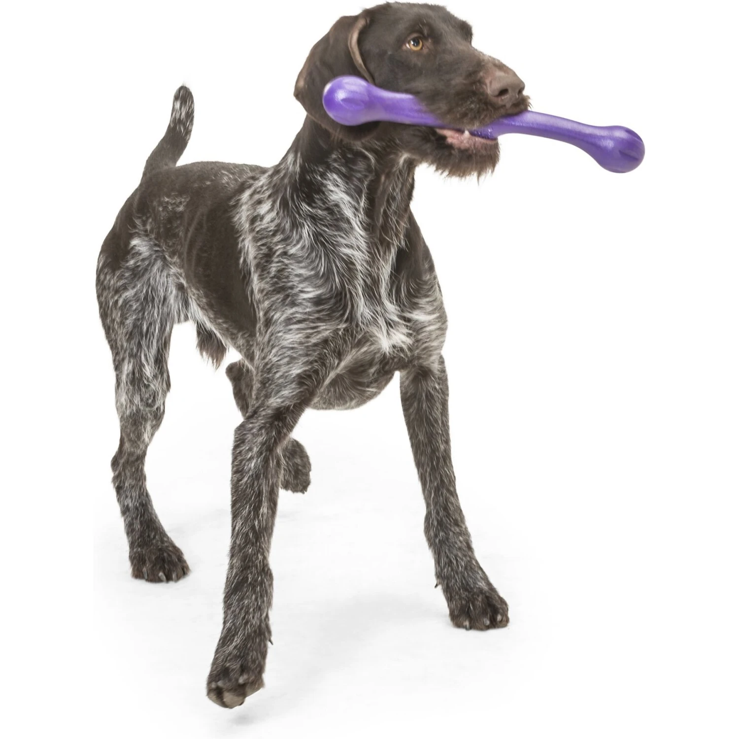 West Paw Echo Collection Zwig Dog Toy - Image 8