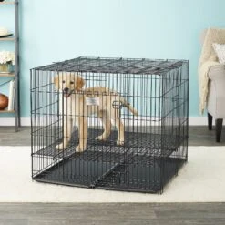 MidWest Double Door Collapsible Wire Puppy Crate