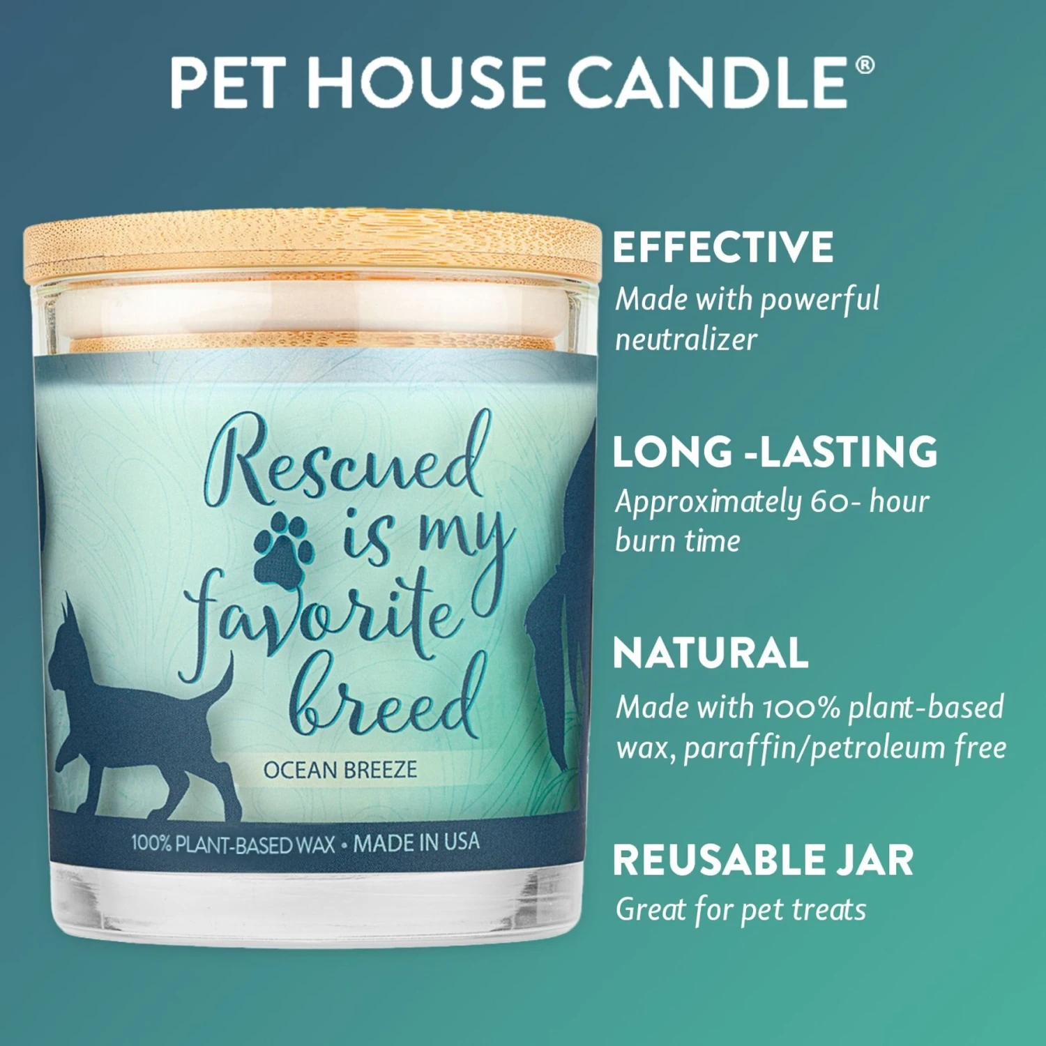 Pet House Ocean Breeze Natural Plant-Based Wax Sentiment Candle - Image 4