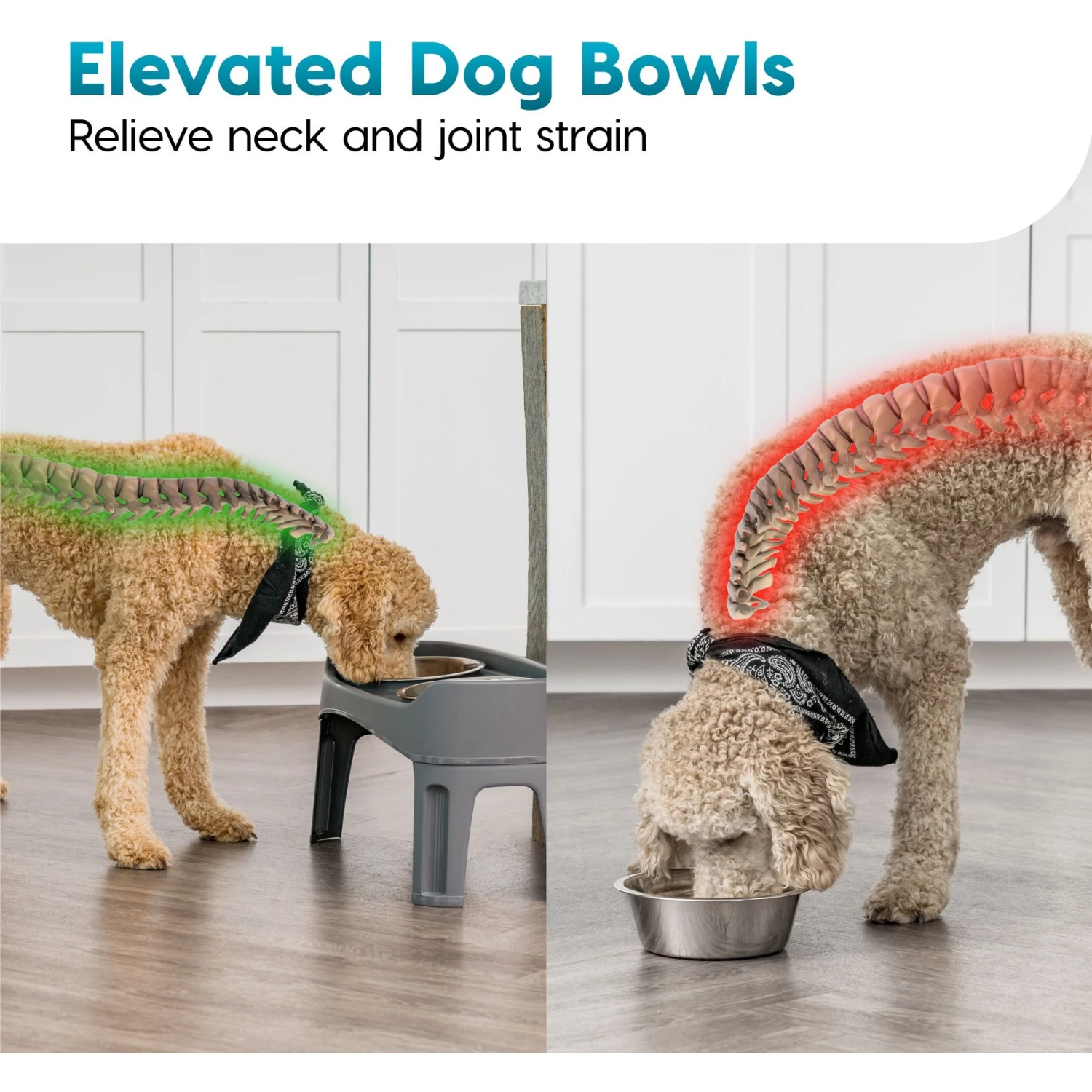 IRIS USA Elevated Dog Feeder With Attachable Feet - Image 6