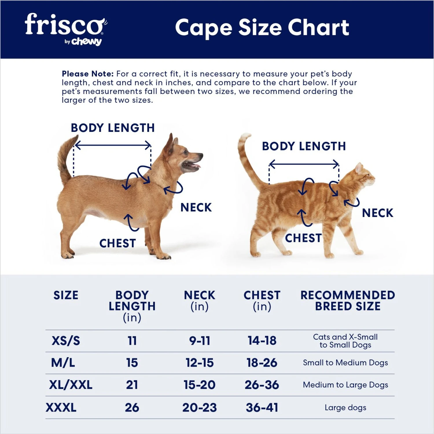 Frisco Vampire Cape Dog & Cat Costume - Image 2