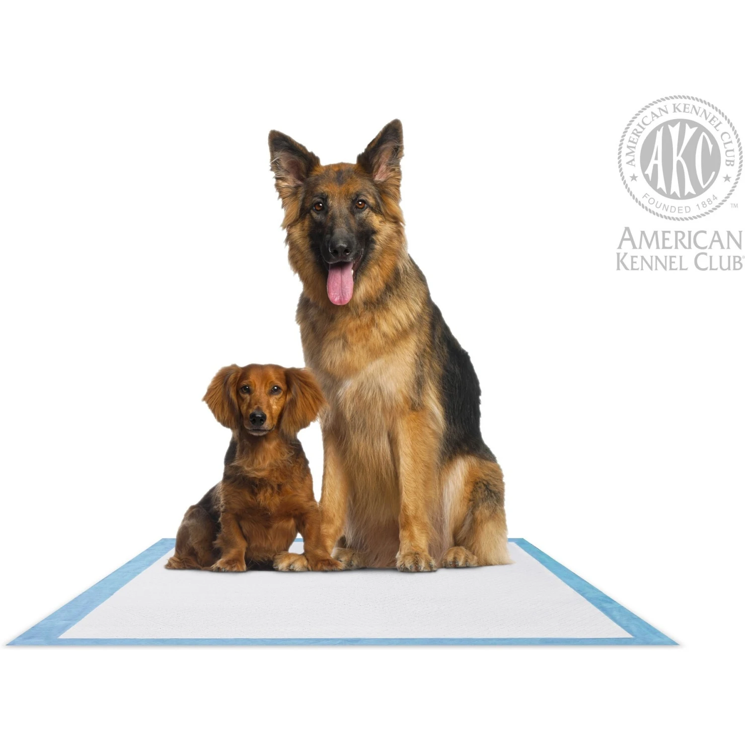 American Kennel Club AKC Dog Training Pads - Image 5