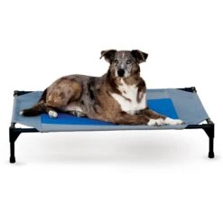 K&H Pet Products Coolin' Pet Cot Elevated Pet Bed