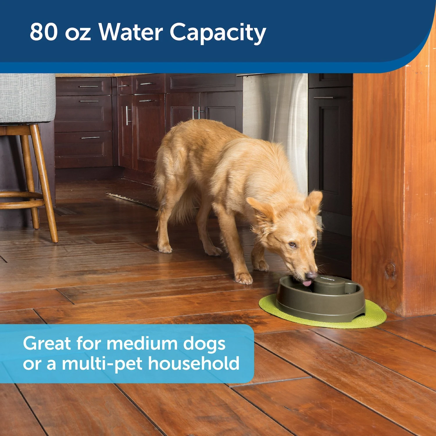 PetSafe Current Circulating Pet Fountain - Image 5