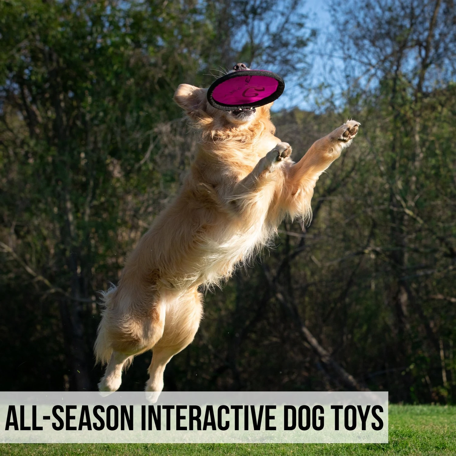 Hyper Pet Flippy Flopper Flying Disc Dog Toy - Image 5