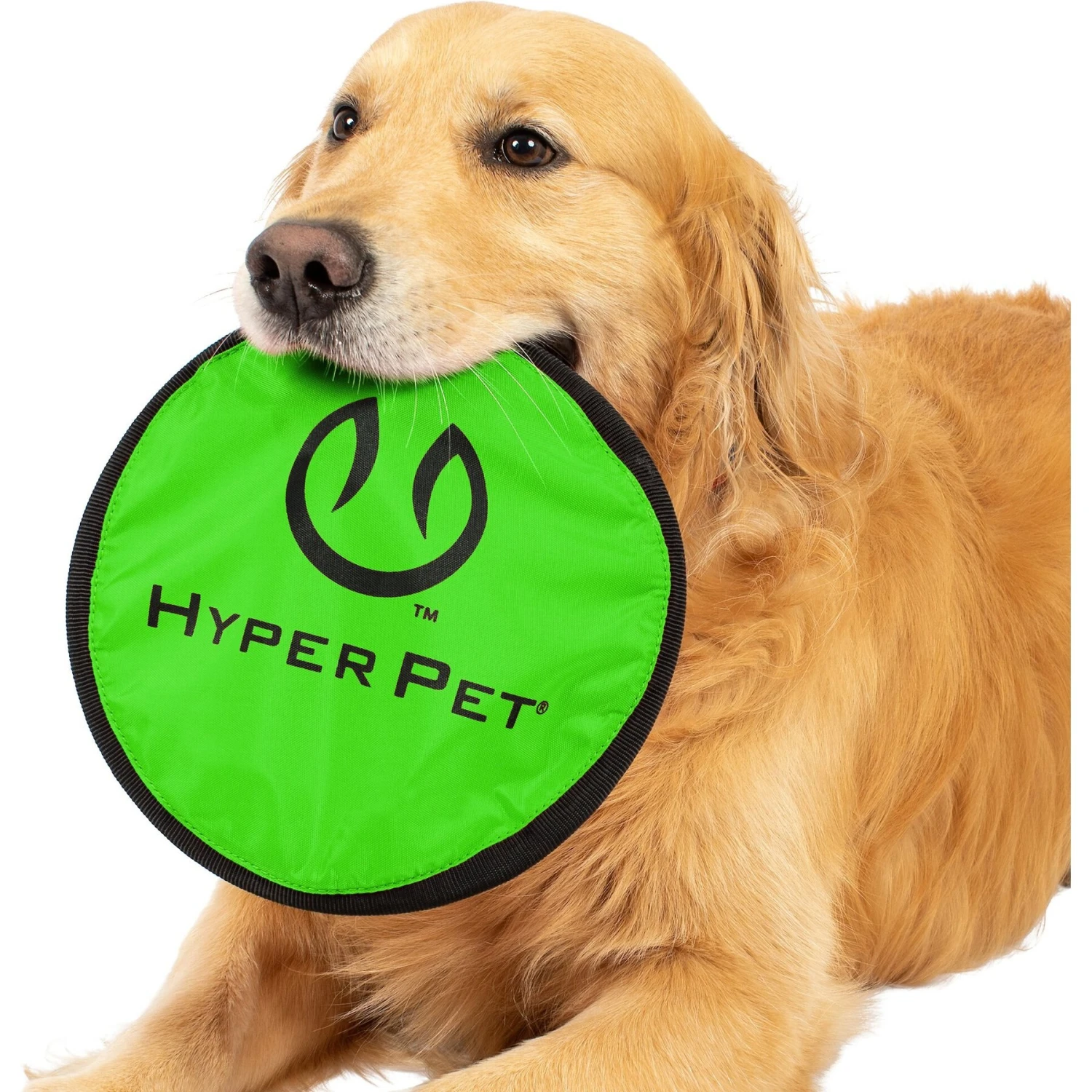 Hyper Pet Flippy Flopper Flying Disc Dog Toy - Image 7
