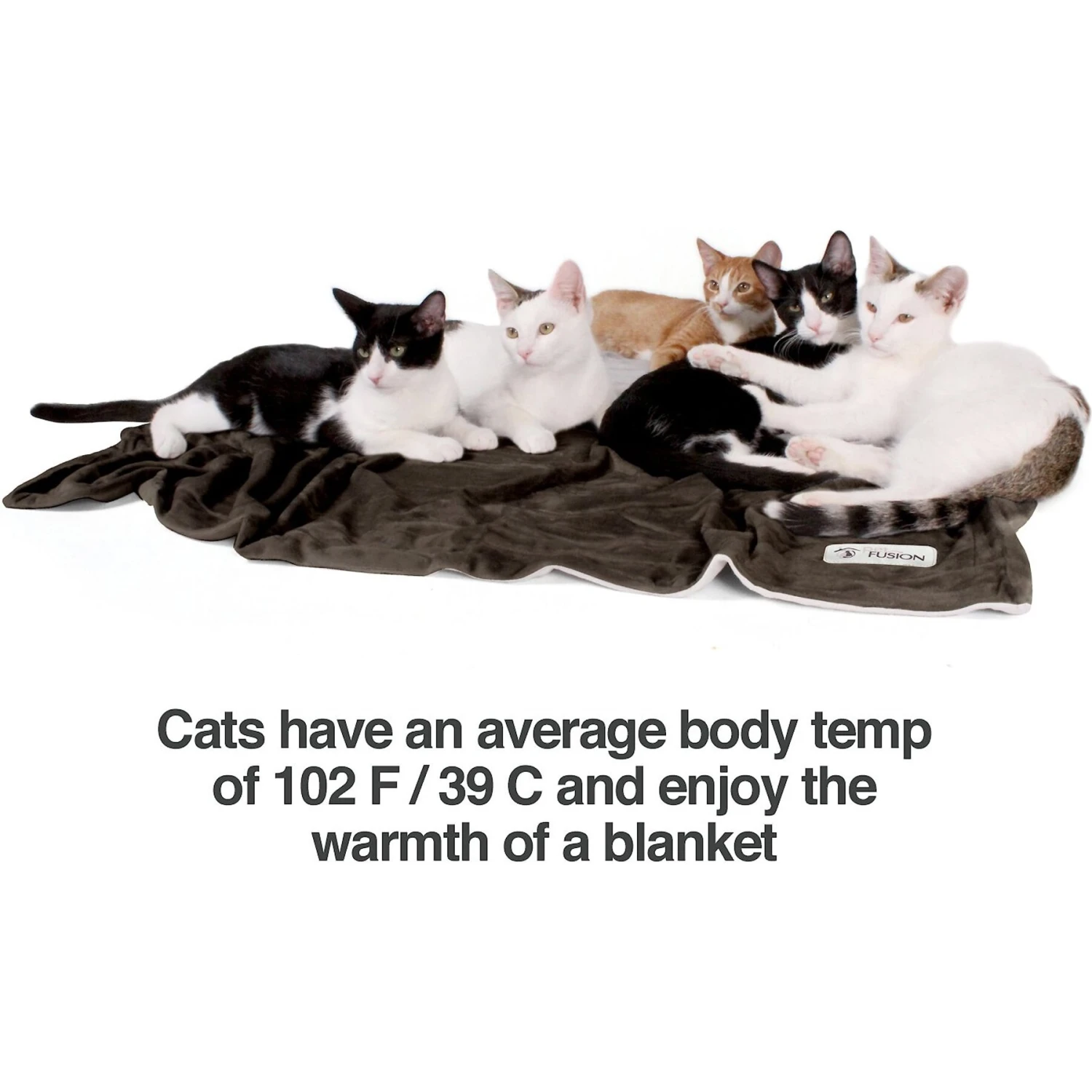 PetFusion Premium Reversible Dog & Cat Blanket - Image 7