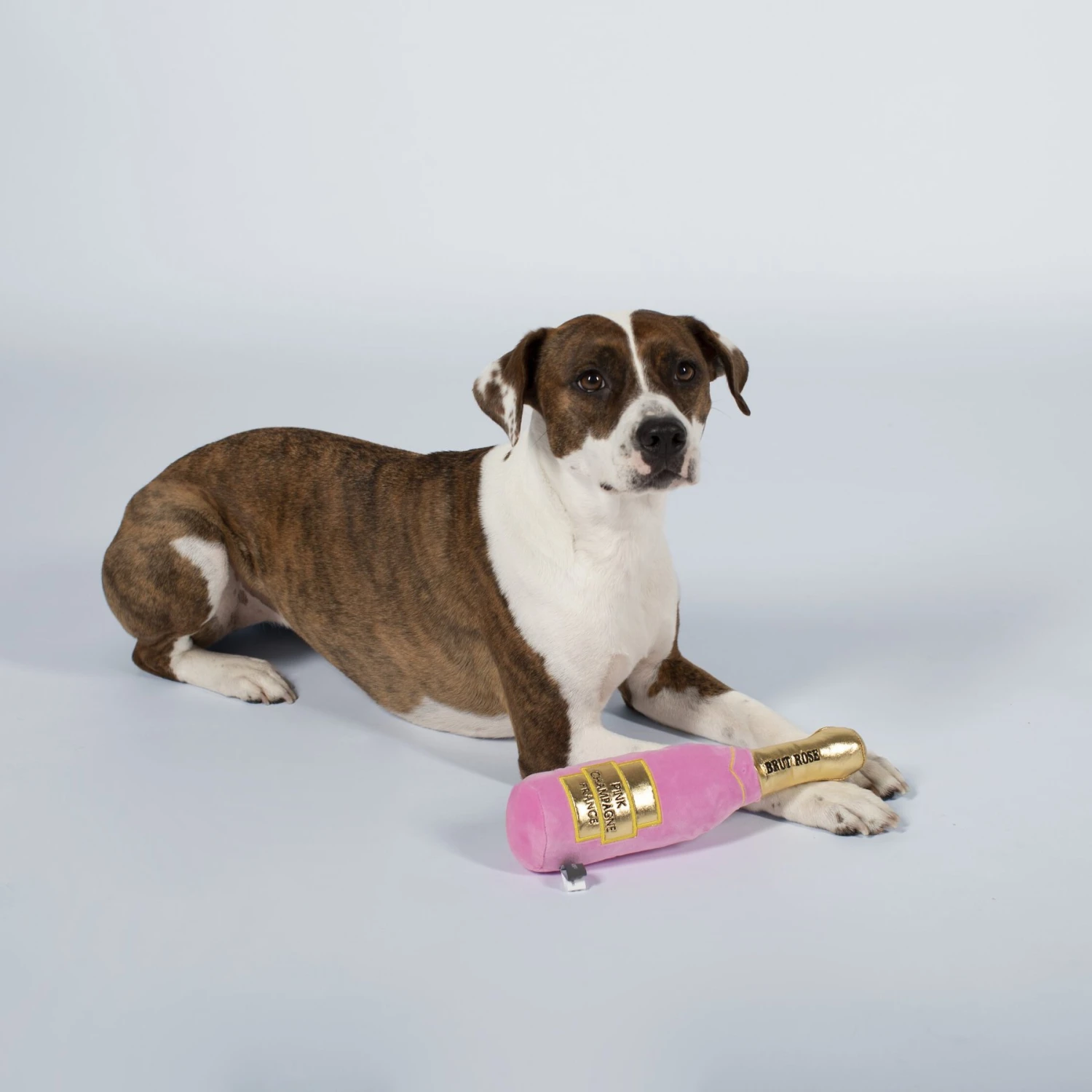 Pet Shop By Fringe Studio Mutt Rose Champagne Squeaky Plush Dog Toy - Image 3