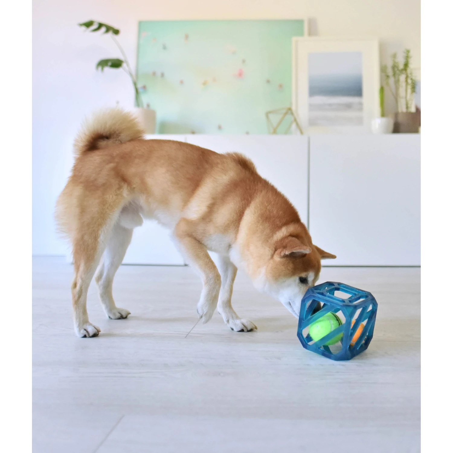Outward Hound Puzzle Cube Interactive Dog Toy - Image 6
