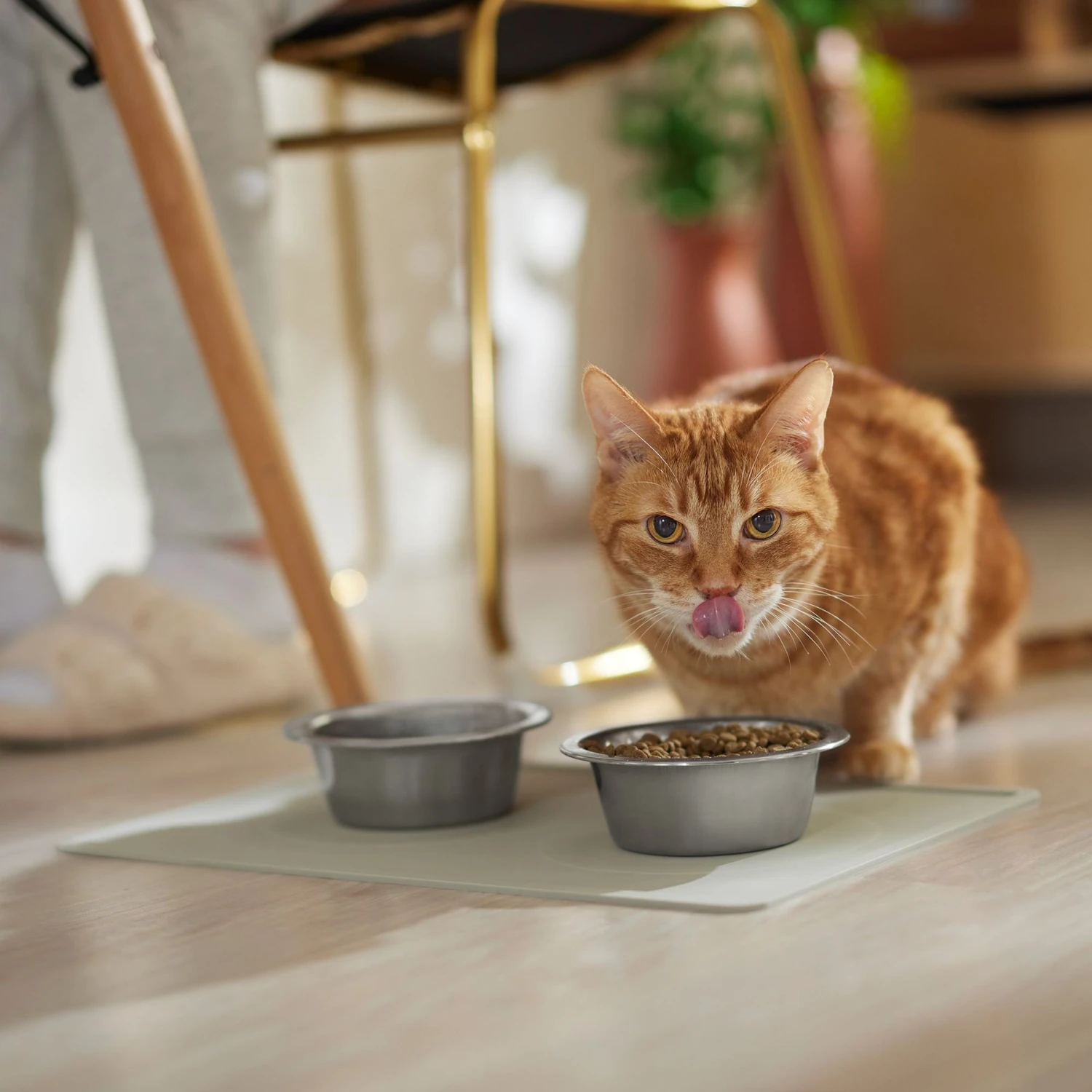 ORE Pet Silicone Dog & Cat Placemat - Image 3