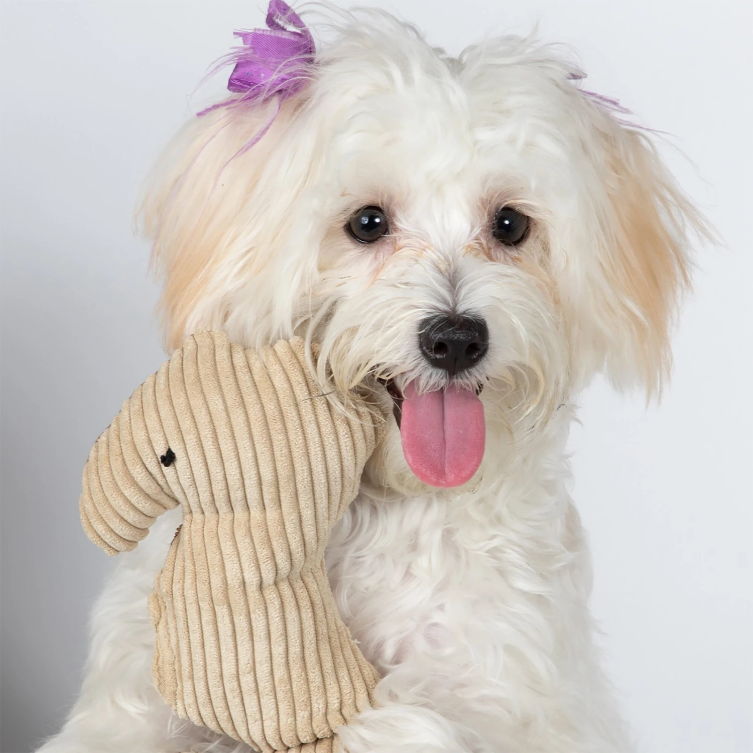 Paws & Pals Seahorse Plush Dog Toy - Image 2