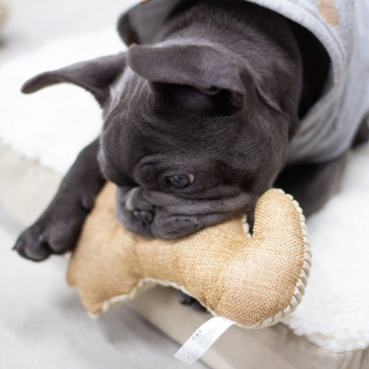 Paws & Pals Seahorse Plush Dog Toy - Image 3