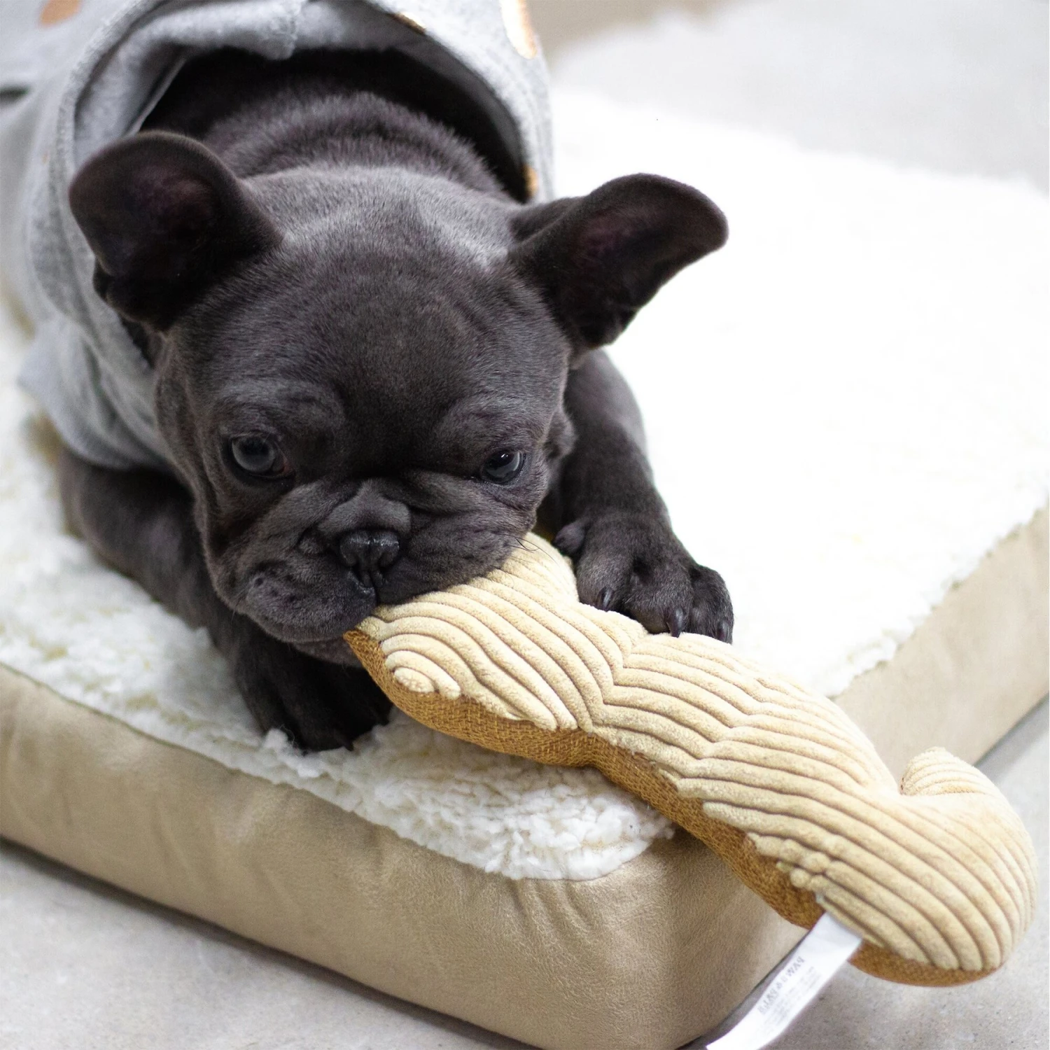 Paws & Pals Seahorse Plush Dog Toy - Image 4