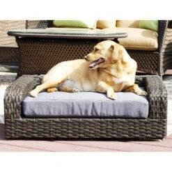 Iconic Pet Rattan Sofa Cat & Dog Bed With Removable Cover, Caramel & Mocha