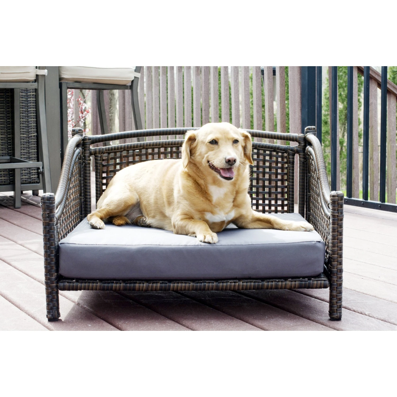 Iconic Pet Maharaja Rattan Sofa Cat & Dog Bed With Removable Cover, Caramel & Mocha