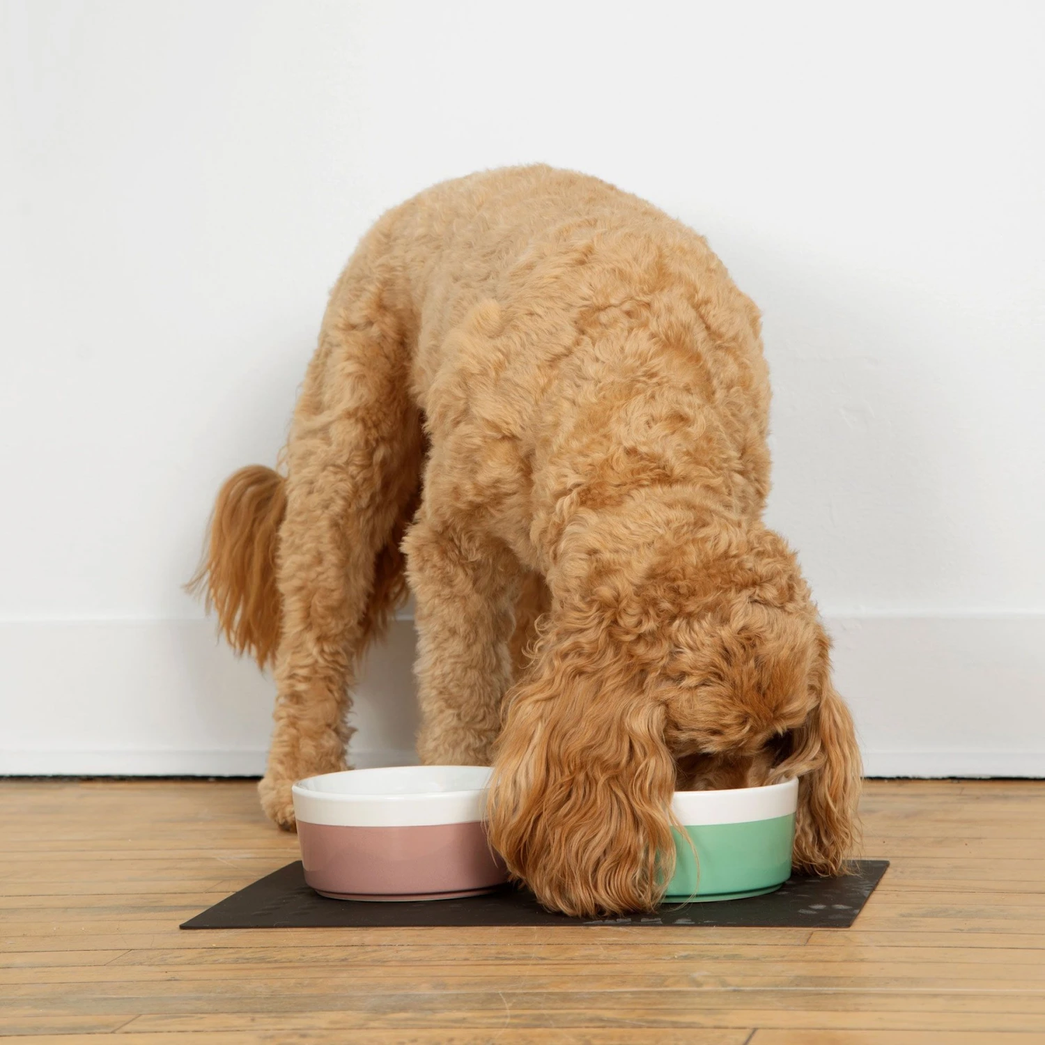 Waggo Dipper Ceramic Dog & Cat Bowl - Image 4