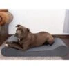 FurHaven Microvelvet Luxe Lounger Cooling Gel Dog Bed With Removable Cover