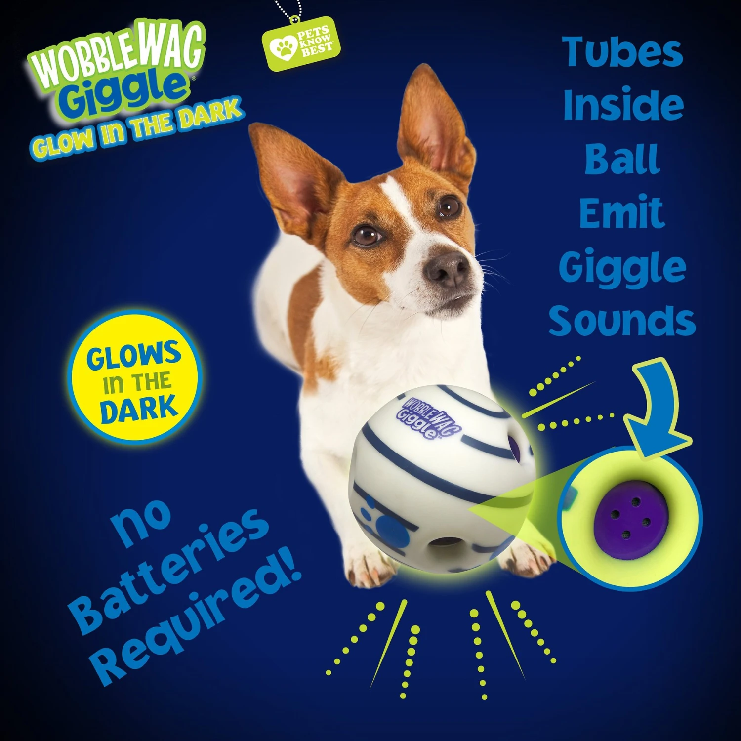 Wobble Wag Giggle Ball Glow In The Dark Squeaky Dog Toy - Image 3