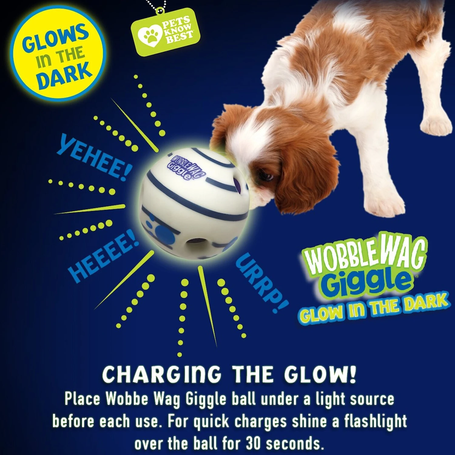 Wobble Wag Giggle Ball Glow In The Dark Squeaky Dog Toy - Image 4