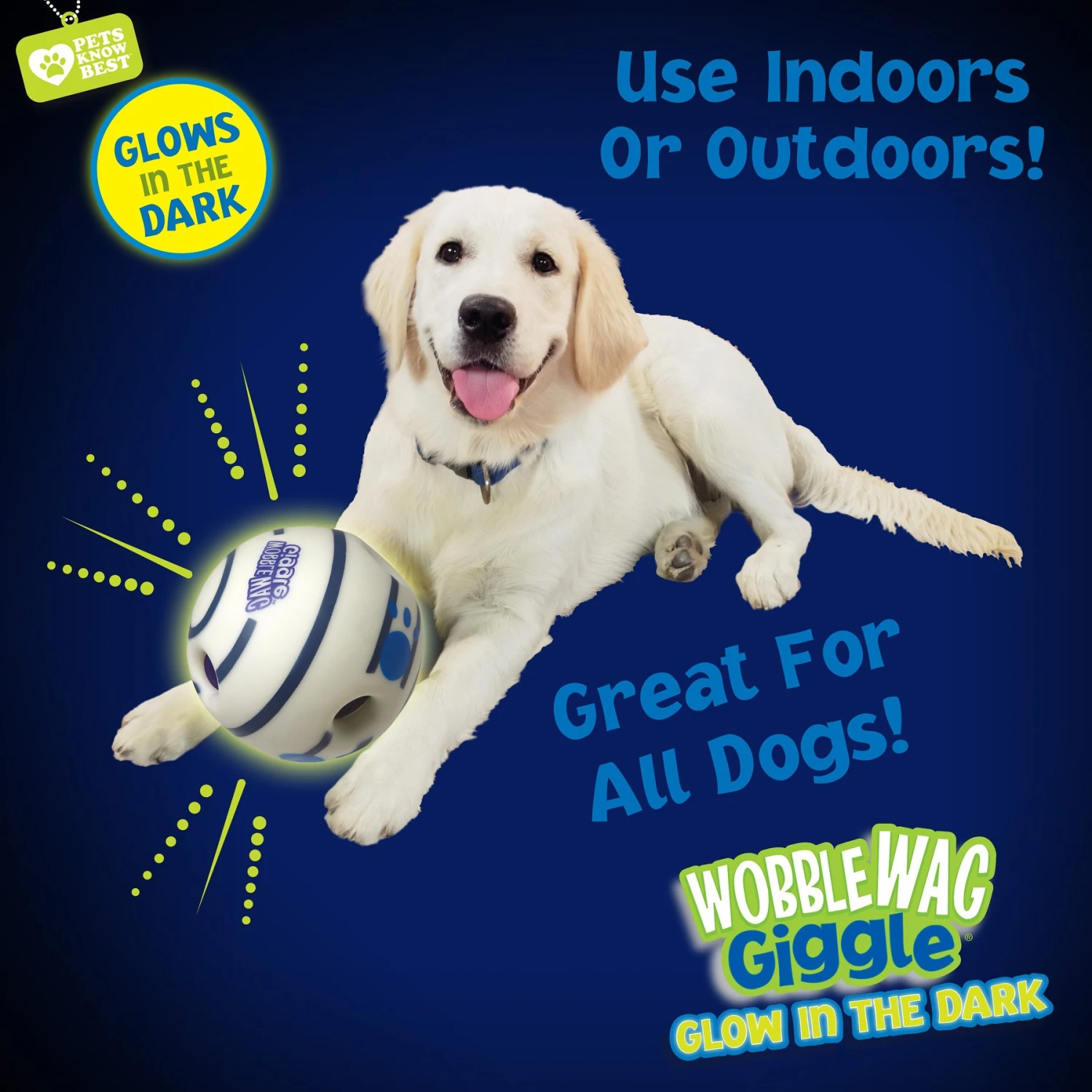 Wobble Wag Giggle Ball Glow In The Dark Squeaky Dog Toy - Image 6