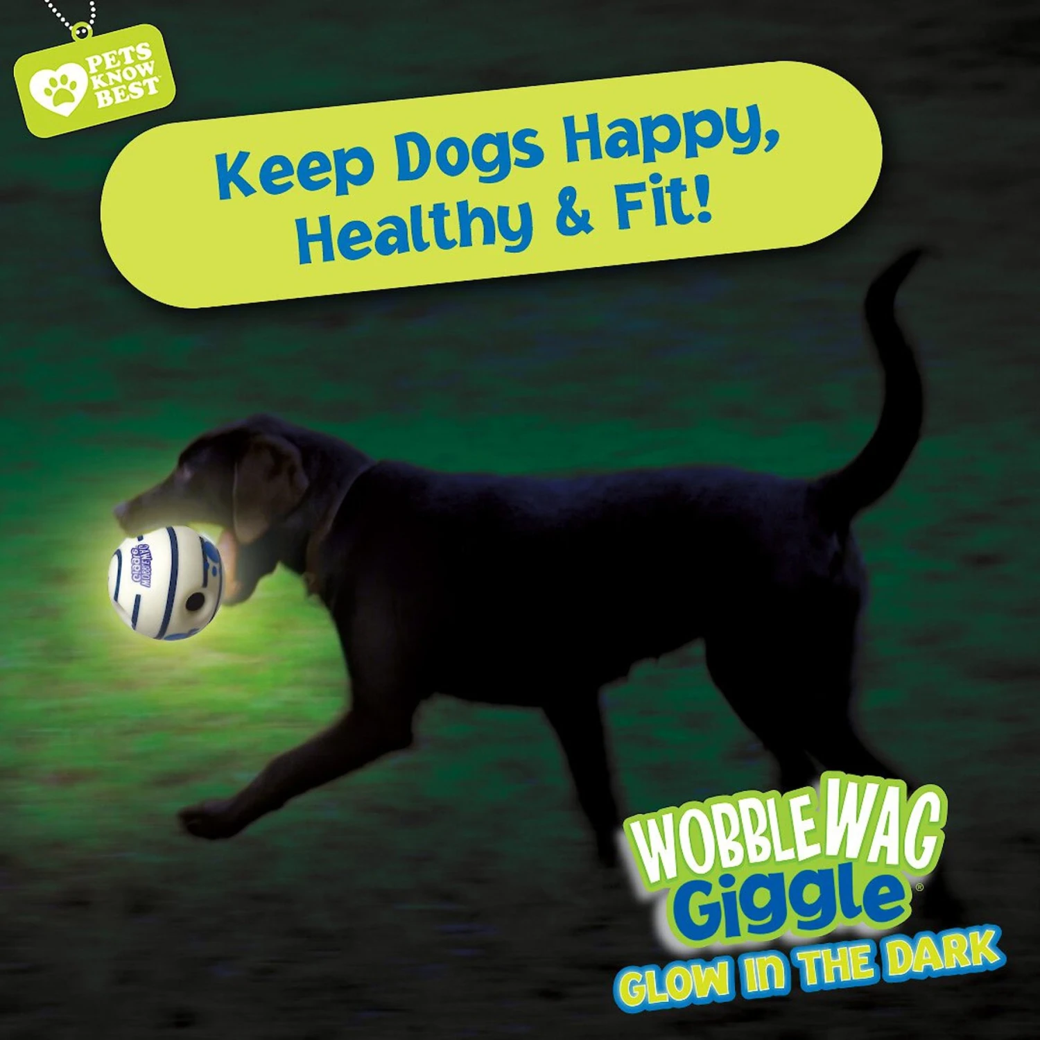 Wobble Wag Giggle Ball Glow In The Dark Squeaky Dog Toy - Image 7