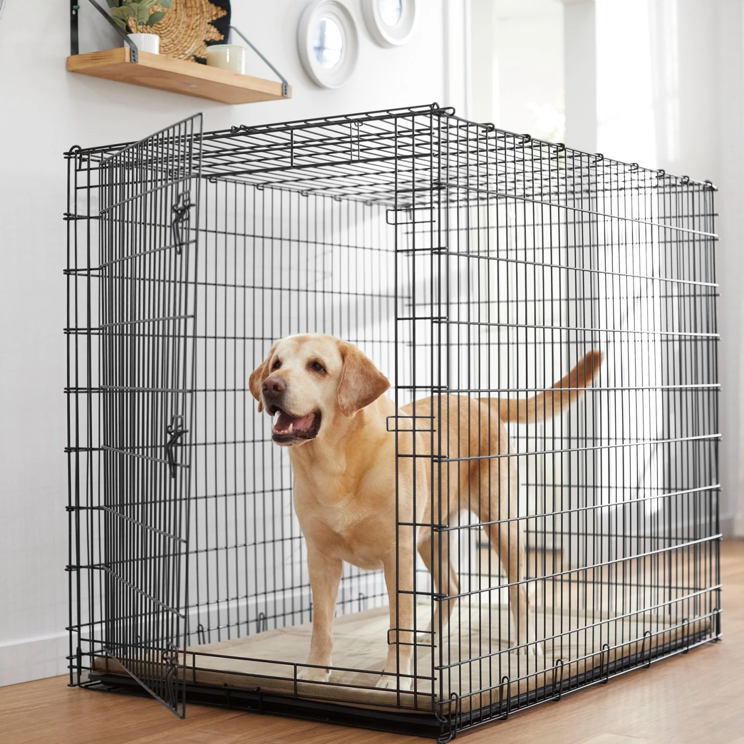 Frisco Heavy Duty Single Door Wire Dog Crate