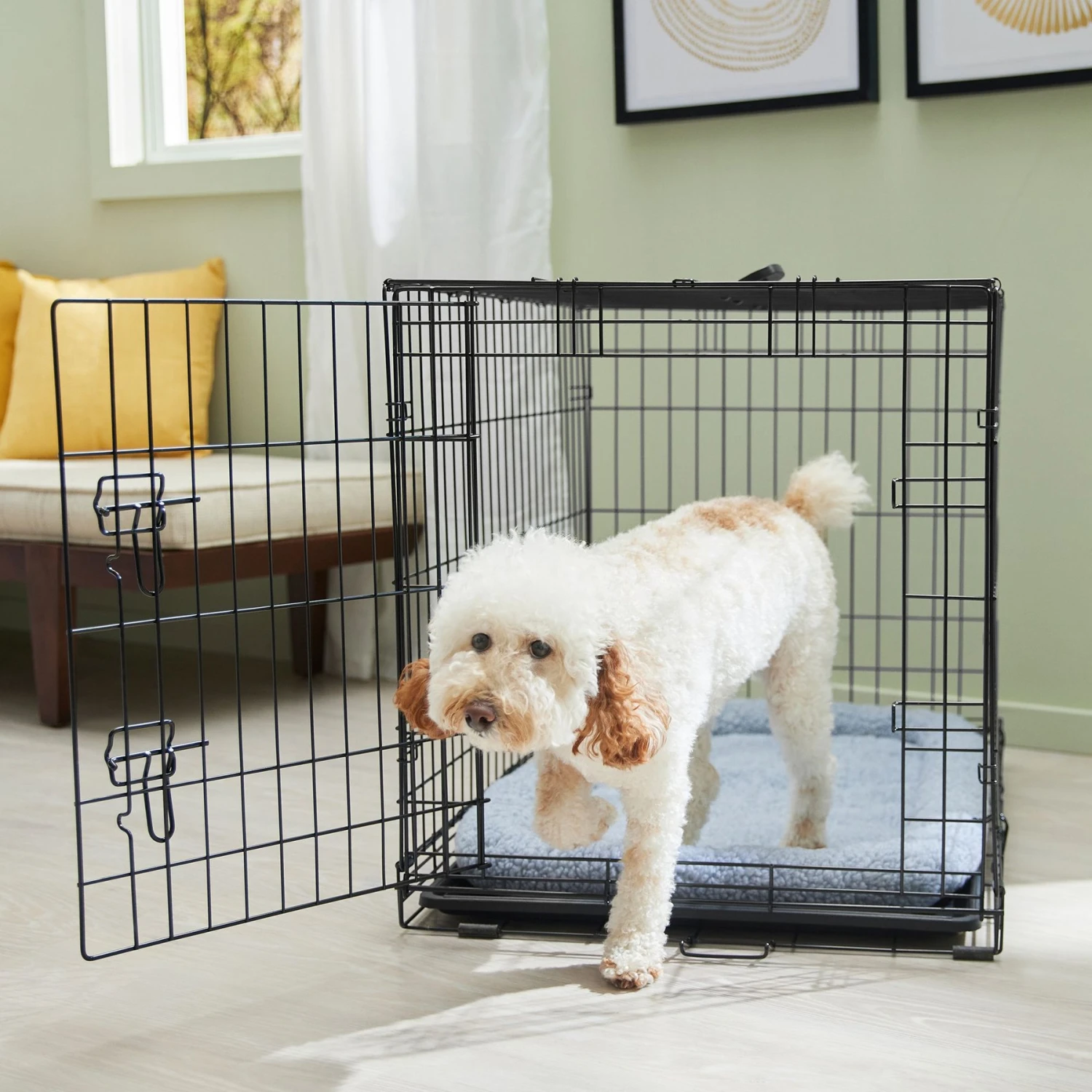 Frisco Fold & Carry Single Door Collapsible Wire Dog Crate & Mat Kit