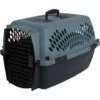 Aspen Pet Fashion Dog & Cat Kennel