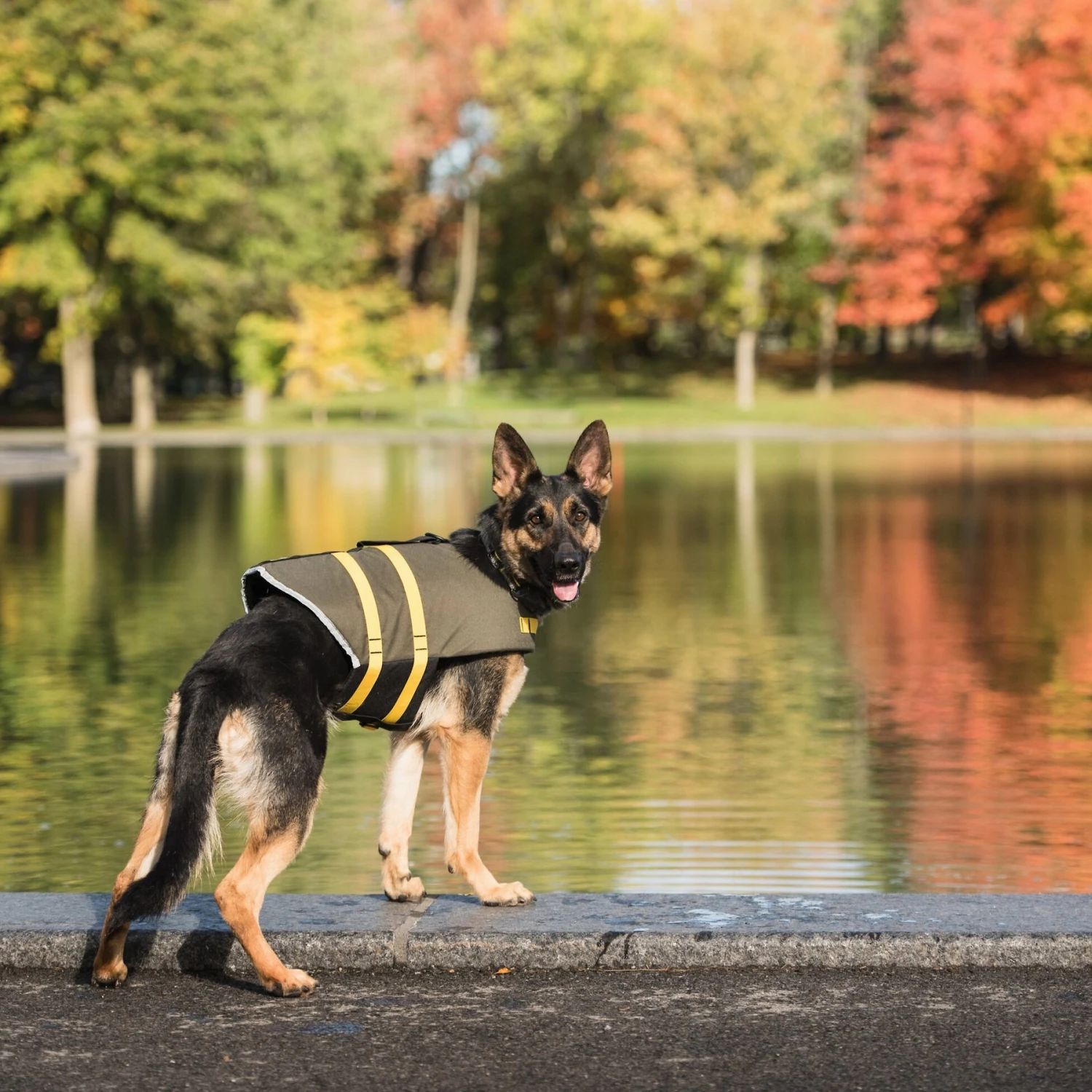 US ARMY Dog Life Vest, Dark Camo - Image 4