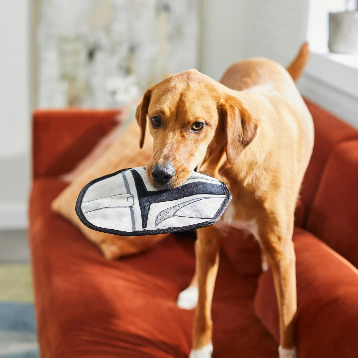 STAR WARS THE MANDALORIAN Flat Plush Squeaky Dog Toy - Image 4