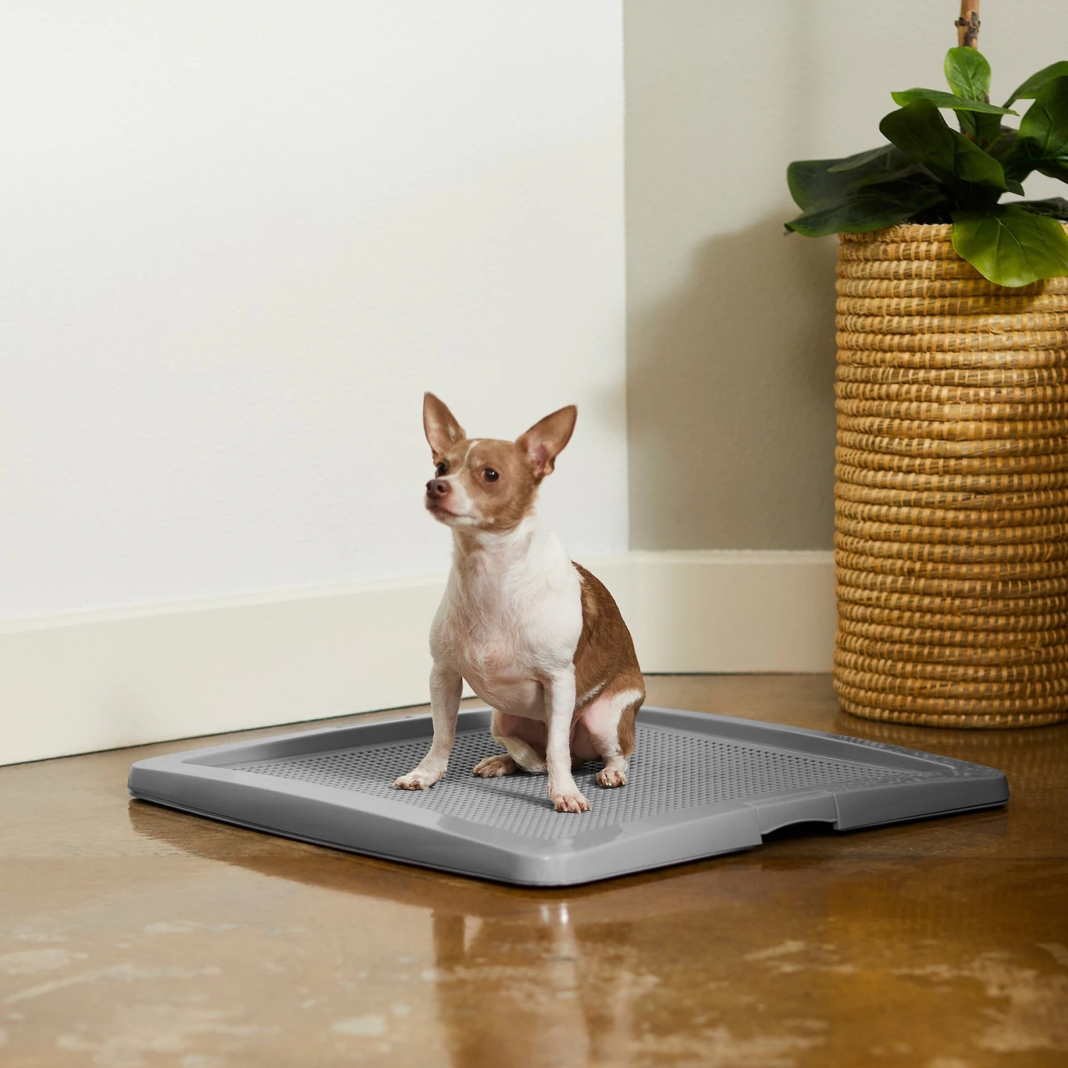 Frisco Training Pad Holder - Image 5