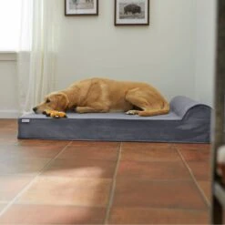 Frisco Orthopedic Chaise Pillow Dog Bed W/Removable Cover